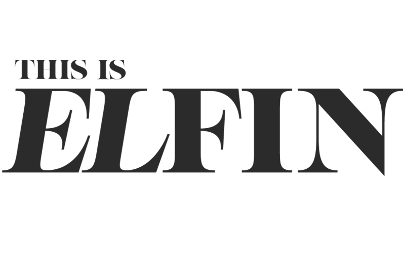 ELFIN logo